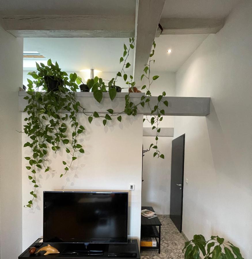 T2 De 40 M2 - Facile D'Acces, Lumineux Et Au Calme Apartment Saint-Genet-Lerpt Luaran gambar